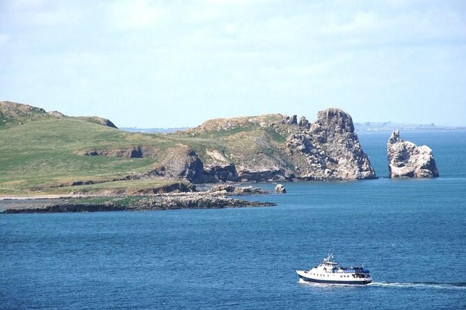 Boat Trip from Dun Laoghaire to Howth - Wildlife and Nature Highlights