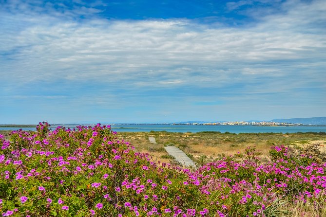Boat trip from Faro to Ilha Deserta by Ferry - The Scenic Ride to Ilha Deserta