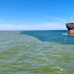 Boat trip to the Danube's mouth at the Black Sea - Witnessing the Danube Meeting the Black Sea