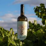 BODEGAS PANDORA: tour through vineyards and winery with wine tasting. - BODEGAS PANDORAs Location in the Heart of Rueda