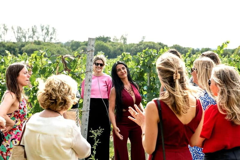 Bodiam: Vineyard Tour and Wine Tasting Experience - Sampling 4 Award-Winning Wines in a Creative Tasting Room