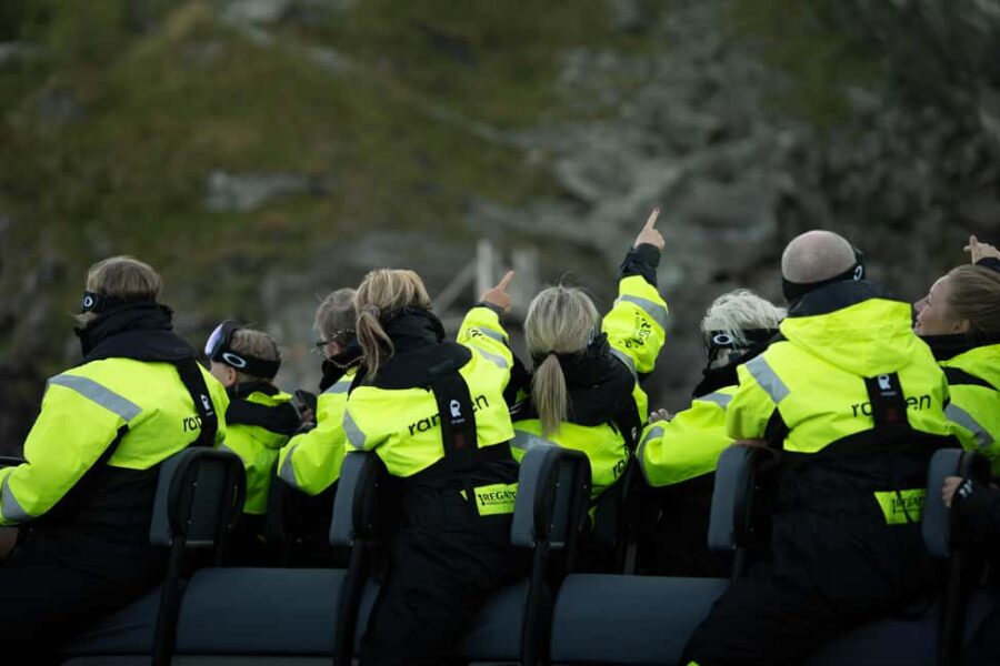 Bodø: Saltstraumen RIB Boat Tour and Eagle Watching - Bodø: Saltstraumen RIB Boat Tour and Eagle Watching — A Natural Power and Wildlife Encounter