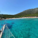 Bodrum: Full day Boat Trip to the Turkish Maledives - Starting Point and Practicalities at Halikarnas Harbour