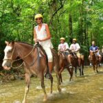 Bodrum Horse Riding Experience w/ Hotel Transfer Service - Scenic Ride Through Pine Forests and Orange Groves