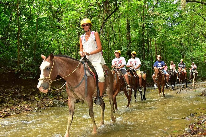 Bodrum Horse Riding Experience w/ Hotel Transfer Service - Scenic Ride Through Pine Forests and Orange Groves