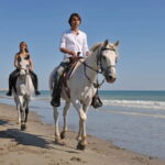 Bodrum: Horseback Riding Experience with Hotel Transfer - Starting Point: The Horse Club in Bodrum