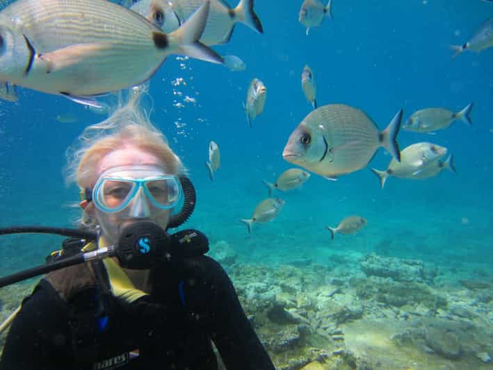 Bodrum: Scuba Diving Trip with Lunch - Bodrums Black Island: The Main Diving Spot