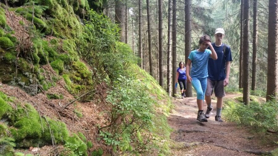 Bohemian Switzerland: Private Day Trip from Prague - Exploring the Town of Hensko and its Historic Charm