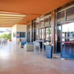 Bolgheri: a guided tour of the winery and a tasting of our wines - Exploring the Cellar: The Heart of Winemaking