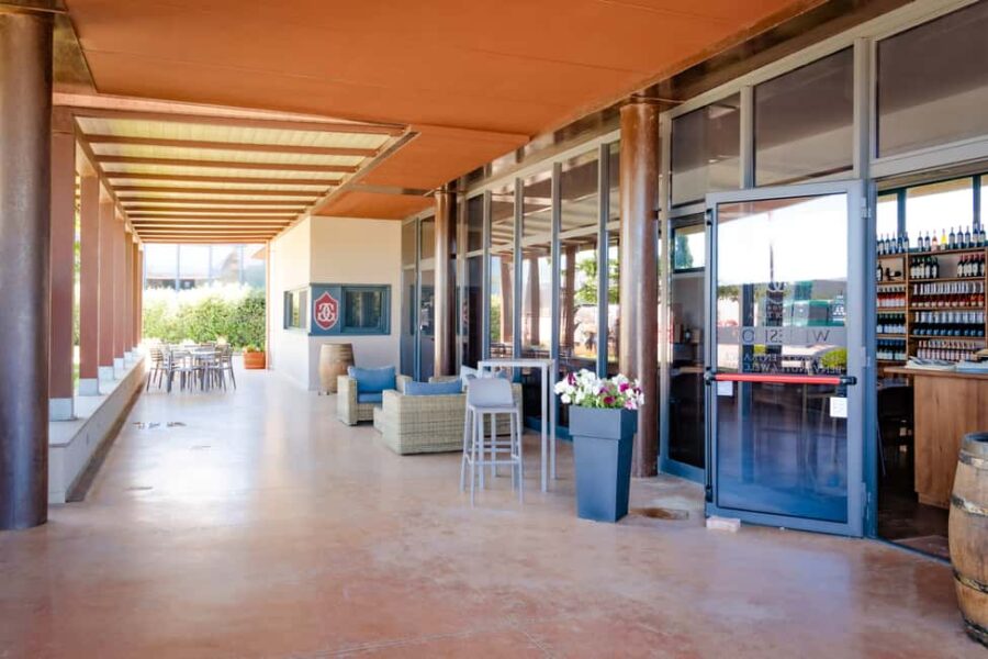 Bolgheri: a guided tour of the winery and a tasting of our wines - Exploring the Cellar: The Heart of Winemaking