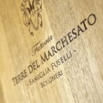 BOLGHERI: Vertical Wine-tasting at Terre del Marchesato - Visiting Terre del Marchesato in Bolgheri