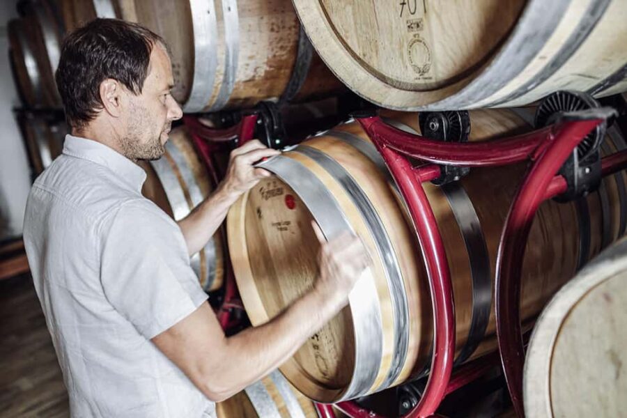 Bolzano: Loacker Wine Experience with Tasting - The Panoramic SKYWINE Pavilion and Wine Tasting