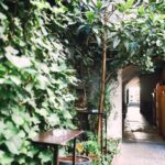 Bolzano Wine & More Walking Tour with Wine expert - Discover the Historic Heart of Bolzano at Piazza Walther