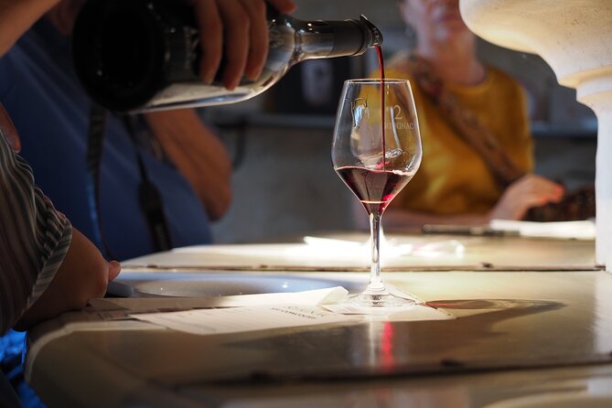 Bordeaux in a Day City and Chateau Visit Shared Walking Tour - Discovering Bordeaux’s Historic City Center