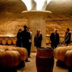 Bordeaux: St-Emilion and Medoc Wine Day Tour with Lunch - From the Old Town to the Château Road