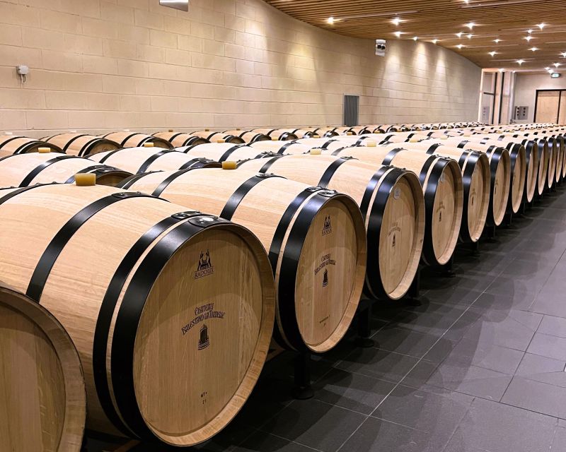 Bordeaux: St-Emilion Vineyards e-Bike Tour with Wine & Lunch - Starting Point at Bordeaux’s Monument aux Girondins