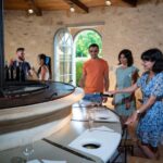 Bordeaux: Visite/dégustation hédoniste au Château de Reignac - Exploring Reignac’s Historic Vat Room and Cellar