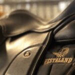 Borgarnes: Horseback Riding Tour with Prep Lesson - The Indoor Prep Lesson at the Heart of the Experience