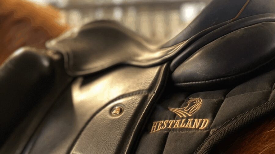 Borgarnes: Horseback Riding Tour with Prep Lesson - The Indoor Prep Lesson at the Heart of the Experience