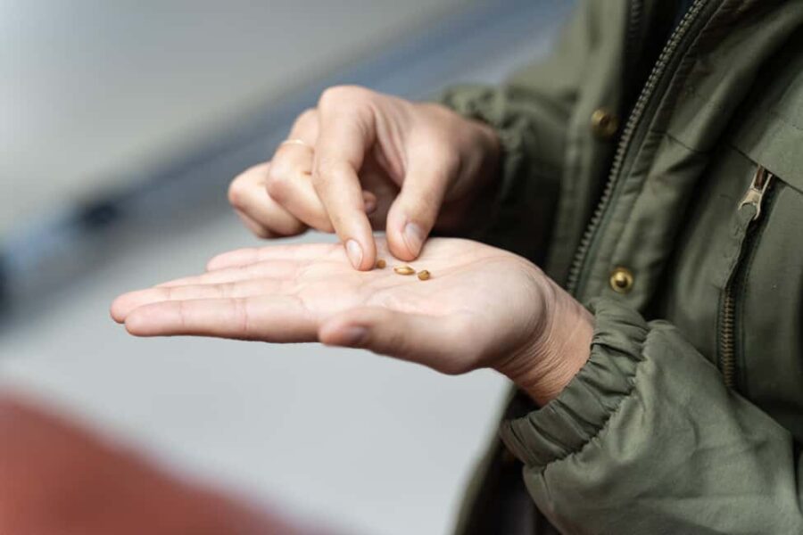 Borgorose: Guided Brewery Tour with Beer Tasting - The Seven Stages of Brewing at Birra Del Borgo