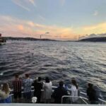 Bosphorus Cruise: Sunset & Night with Transfer & Soft Drinks - The Sunset & Night Bosphorus Cruise Starts with Calm Water Views