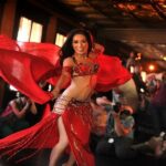 Bosphorus Dinner Cruise and Turkish Night Show (All-inclusive) - Hotel Pickup and Drop-off Logistics