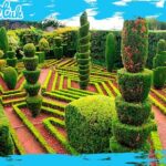 Botanical Gardens + Old Town Tuk-Tuk Private Tour by MadTuk - Passing Through Funchal’s Old Town and Farmers Market