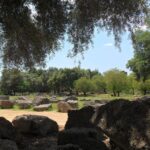 Boutique Expedition-Small Group, Olympia, Wine & Oil Taste - Olive Oil Tasting at OLYMPIAN KOUFOLIAS