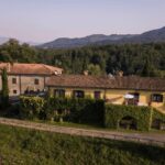 Boutique Winery Tour & Tasting in North Tuscany - Starting Point at Podere Fedespina in Arpiola-Pianturcano