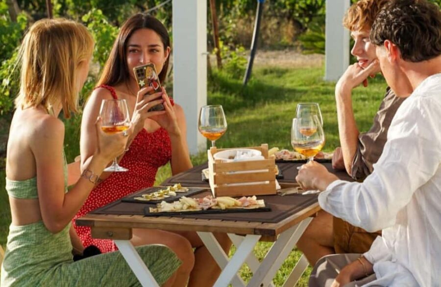 Boutique Winery Tour with Wine & Food Tasting near Cagliari - Starting Point and Logistics for a Smooth Experience