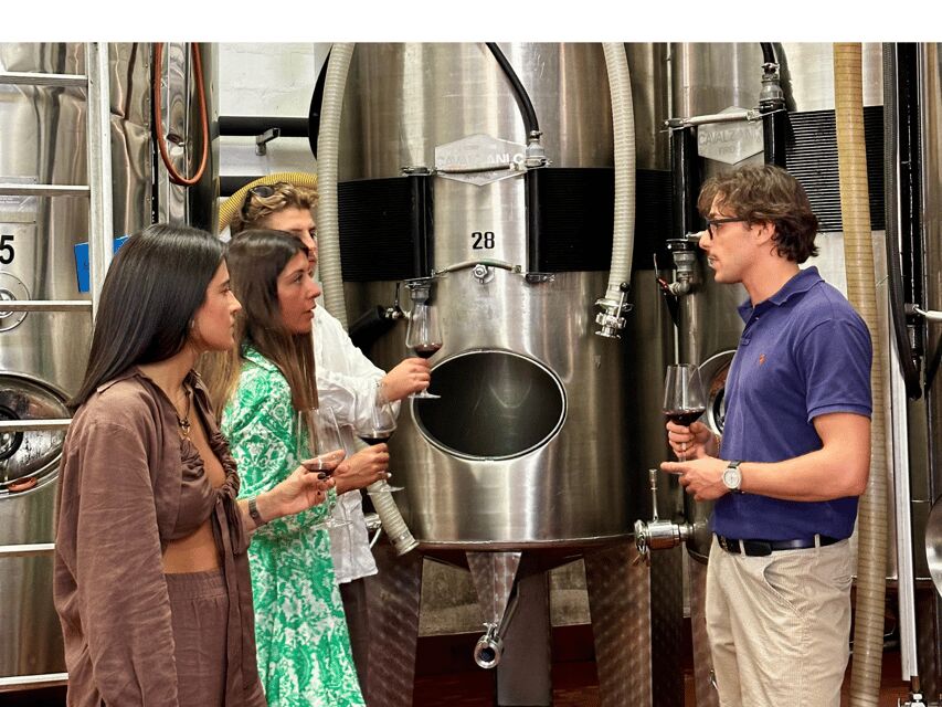 Boutique Winery Tour with Wine Tasting & Food in Bologna - Exploring the Vineyards of Colli Bolognesi