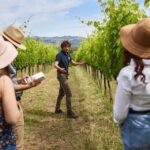 Boutique Winery Visit & 5 Organic Wine Tastings near Urbino - Scenic Setting in the Montefeltro Region