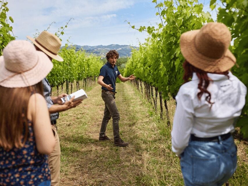 Boutique Winery Visit & 5 Organic Wine Tastings near Urbino - Scenic Setting in the Montefeltro Region
