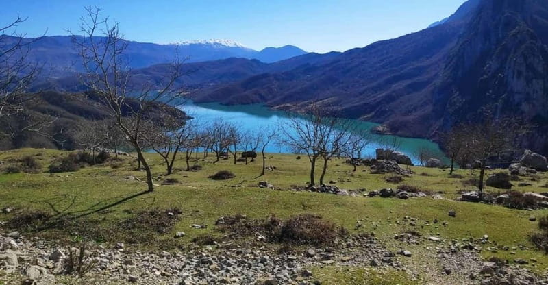 Bovilla Lake, Hiking and Swimming, Day Tour - Discover Bovilla Lake’s Location and Surroundings