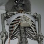 Braga: Escape Room, Haunted Mansion - Starting at the Entrance: Easy Access Near Braga Parque