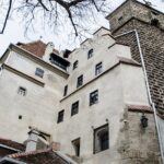 Bran Castle, Bear Sanctuary, and Rasnov Fortress Half Day Tour - Exploring Libearty Bear Sanctuary in Zarnesti