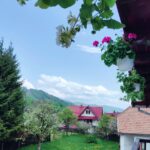 Bran: Rural Tour with Local Food & Accommodation in imon - Welcome Drinks and Traditional Romanian Dinner