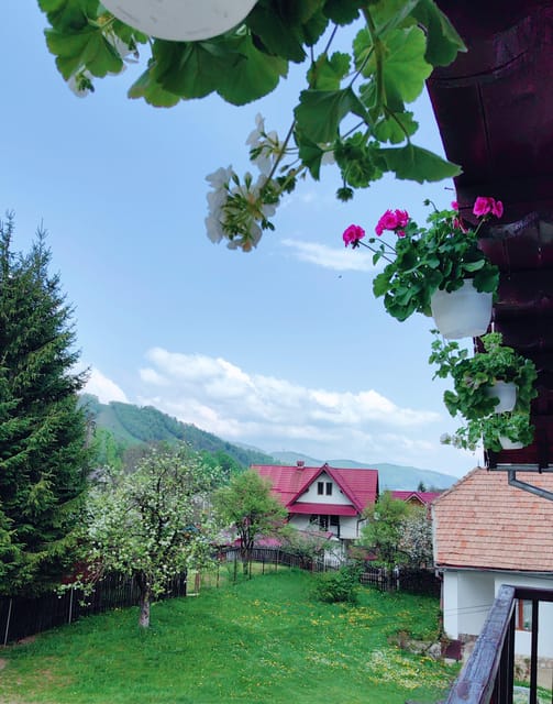 Bran: Rural Tour with Local Food & Accommodation in imon - Welcome Drinks and Traditional Romanian Dinner