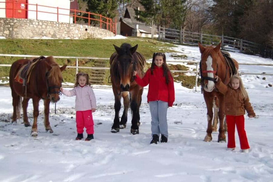 Braov: Horseback Riding Experience - Convenient Pickup and Transportation to Poiana Braov