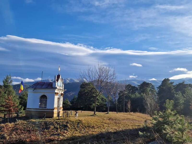 Braovs Secret Tastes & Stories - Discovering Braov’s Medieval Streets and Landmarks