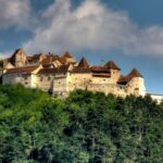 Brasov: Bear Sanctuary, Dracula Castle, and Rânov Fortress - Discover the Libearty Bear Sanctuary in Zarnesti