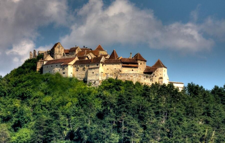 Brasov: Bear Sanctuary, Dracula Castle, and Rânov Fortress - Discover the Libearty Bear Sanctuary in Zarnesti