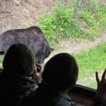 Brasov: Bear Watching in the Wild (From a Hideout) - From Brasov’s Old Town to the Transylvanian Forest