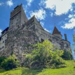Brasov: Bran Castle, Bear Sanctuary, Rasnov (Peles Optional) - Visiting the Libearty Bear Sanctuary in Zarnesti