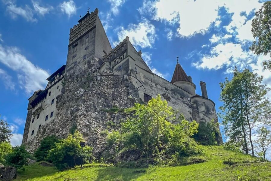 Brasov: Bran Castle, Bear Sanctuary, Rasnov (Peles Optional) - Visiting the Libearty Bear Sanctuary in Zarnesti