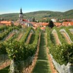 Bratislava: 6,5-Hour Carpathian Wine Tour and Tasting - Visiting Red Stone Castle: A Romantic Landmark