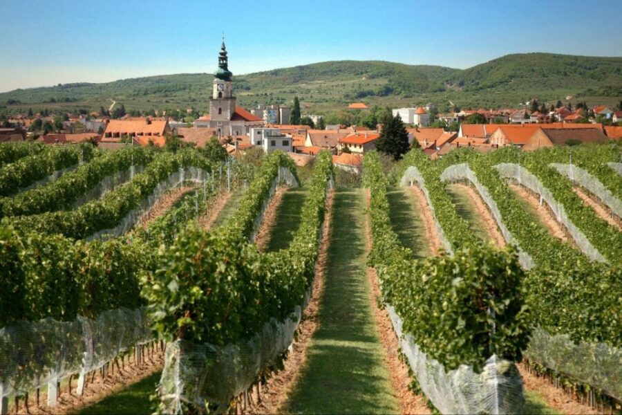 Bratislava: 6,5-Hour Carpathian Wine Tour and Tasting - Visiting Red Stone Castle: A Romantic Landmark