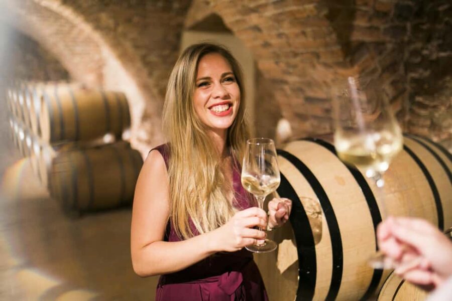 Bratislava: Devin Castle and Wine Tasting Private Tour - Discover Devin Castle’s Historical Significance
