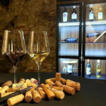 Bratislava: Wine Tasting Experience in the Dark - The Old Cellar Setting in Bratislavas City Center