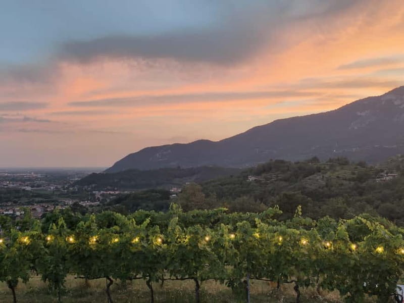 Brescia: Day trip to Botticino, new historical winetasting - The Unique Vintage Estate of Botticino